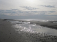 himbarsum-2009-tag-09_16