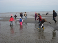 himbarsum-2009-tag-09_21