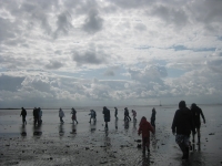 himbarsum-2009-tag-11_05