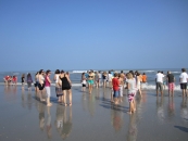 2011_inselbilder ameland2011_tag05_5_20110728_2085051108